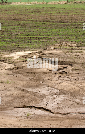 Soil erosion on a reseeded field showing damage heavy rain can do washing topsoil away Lancashire England Stock Photo