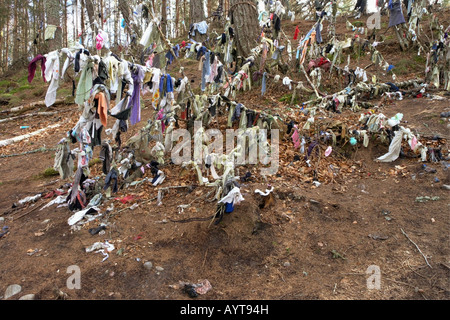 Cloths, rags hanging from trees at the clootie well near Munlochy on the Black Isle, Scottish Highlands Stock Photo