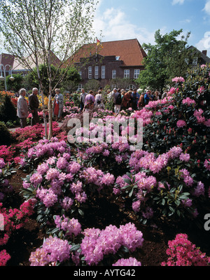 Rhododendronausstellung in Westerstede, Ammerland, Niedersachsen Stock  Photo - Alamy