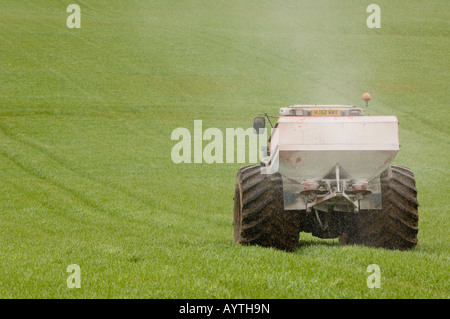 Farmer applying fertiliser to winter barley in spring Using Tractor with wide tyres to reduce compactation Penrith Cumbria Stock Photo