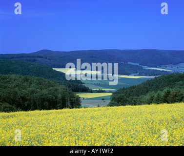 Fruehlingslandschaft im Naturpark Weserbergland-Schaumburg-Hameln bei Bad Pyrmont, Niedersachsen Stock Photo