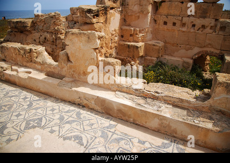 Mosaic floor in the Ancient Roman City of Sabratha, Libya Stock Photo