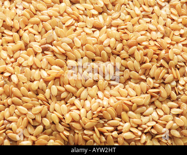 Close up of golden linseed also known as flax seed Stock Photo