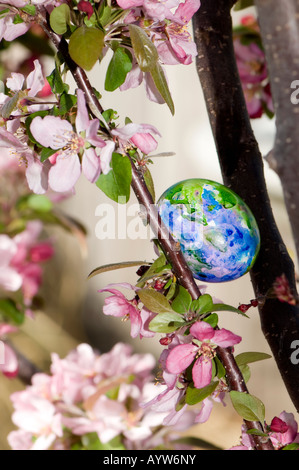 A blue, green and purple Easter egg is hidden in the branches of a blooming crabapple tree. USA. Stock Photo
