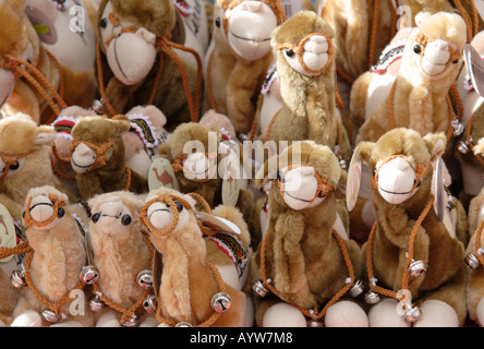 Stuffed camels in Lanzarote Stock Photo Alamy