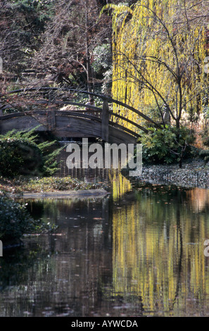 Japanese Water gardens Fort Worth Texas Stock Photo