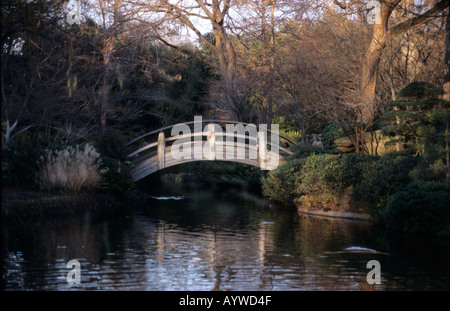 Wooden arched Japanese bridge Botanic Gardens Fort Worth Texas US Stock Photo