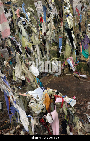 Cloths, rags hanging from trees at the clootie well near Munlochy on the Black Isle, Scottish Highlands Stock Photo