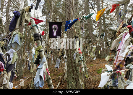 Cloths, rags hanging from trees at the clootie well near Munlochy on the Black Isle, Scottish Highlands Stock Photo