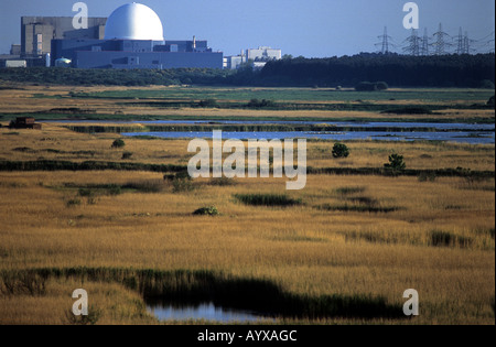 RSPB Minsmere nature reserve close to the Sizewell B nuclear power station, Suffolk, UK. Stock Photo