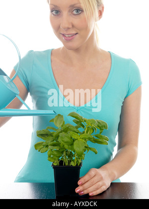 Young Woman Watering Basil Plant Model Released Stock Photo