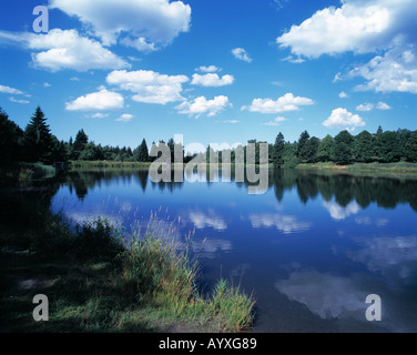 Waldsee, ruhiger See in einer Waldlandschaft, Nadelwald, Oberer