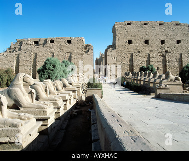 Ausgrabungsgelaende, Grosser Amun-Tempel, Tempelruinen, Widderallee, Skulpturen, Karnak, Oberaegypten Stock Photo