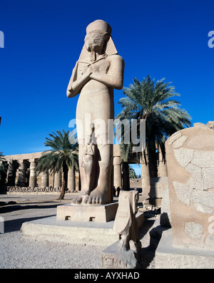 Ausgrabungsgelaende, Grosser Amun-Tempel, Tempelruinen, Ramses-Statue, Skulptur, Karnak, Oberaegypten Stock Photo