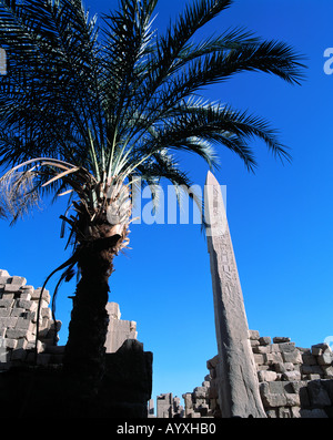 Ausgrabungsgelaende, Grosser Amun-Tempel, Tempelruinen, Hatschepsut-Obelisk, Karnak, Oberaegypten Stock Photo