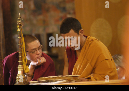 Tibetan monk during morning prayer puja in Thiksey Monastery Ladakh Jammu Kashmir India Stock Photo