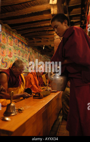 Old Tibetan monk during morning prayer puja in Thiksey Monastery Jammu Kashmir India Stock Photo