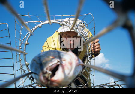 Putcher fishing Stock Photo