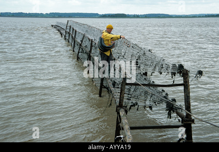 Putcher fishing Stock Photo