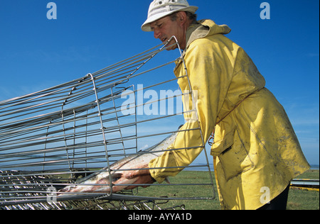 Putcher fishing Stock Photo