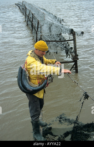 Putcher fishing Stock Photo