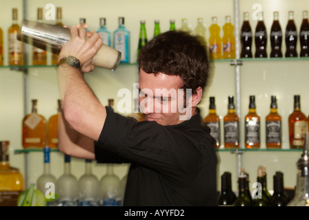 Bartender shaking a cocktail Stock Photo