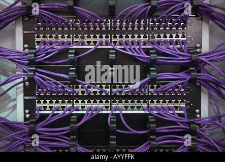 many violet ethernet cables connect several hubs Stock Photo