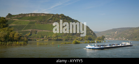 A cargo boat driving on the river Rhine in front of the Bacharacher Hahn winegrowing region in the German Middle-Rhine Valley Stock Photo