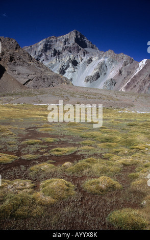 Marshy ground in Upper Horcones Valley, Aconcagua Provincial Park, Argentina Stock Photo