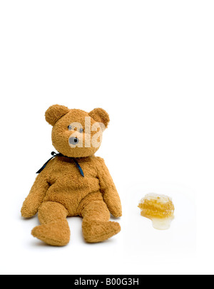 Teddy bear sat next to honeycomb on a white background Stock Photo
