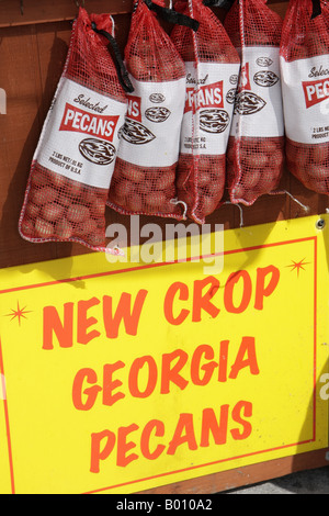 Florida Florida's Turnpike,Port St. Lucie Rest Stop,Georgia Pecans,nuts,sacks,bags,produce,souvenir,visitors travel traveling tour tourist tourism lan Stock Photo