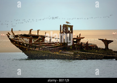 Namibia, Erongo Region, Walvis Bay. In the lagoon, a shipwrecked fishing boat makes an ideal location for a sea bird perch. Stock Photo