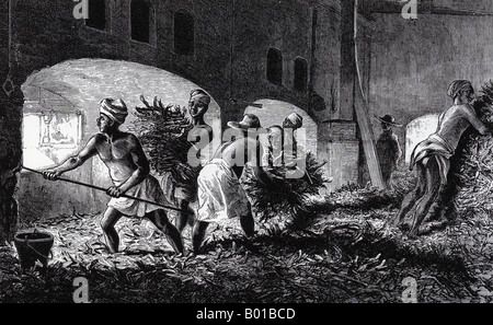 SLAVES on a Brazilian sugar plantation about 1830 feeding crushed cane into a furnace watched by the overseer Stock Photo