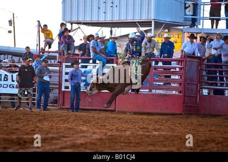 Rodeo bull riding. South Texas competition and event. Stock Photo