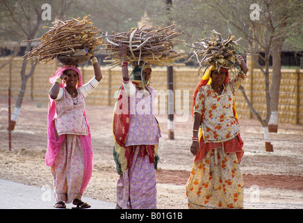Indian women carrying wood, Jaisalmer, Rajasthan Stock Photo