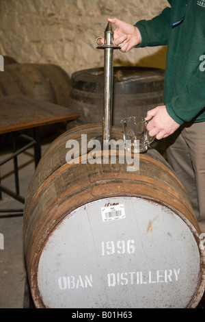 Employee Test Sampling with a whisky thief a1996 Whisky Spirit at Oban large Distillery Argyll, Scotland uk Stock Photo