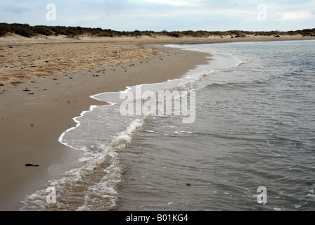 Looking along the tide line with background of sand dunes Stock Photo