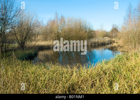 WWT London Wetland Centre, Barnes, London, England, UK Stock Photo