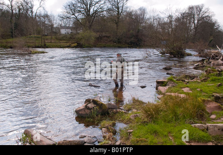 Angling author journalist and broadcaster Charles Rangeley Wilson fly fishing for wild brown trout on the River Usk at Gliffaes Stock Photo
