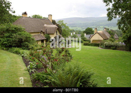 UK Exmoor Somerset Selworthy thatched cottages on the green Stock Photo