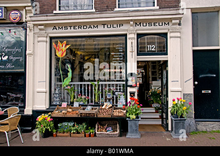 Tulip Museum  Amsterdam Jordaan Prinsengracht Holland The Netherlands Nederland Dutch City Stock Photo