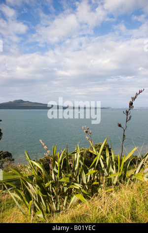 Rangitoto Island view Auckland New Zealand Stock Photo