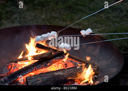 Roasting marshmallows on skewers over the flame of a wood burning campfire. Stock Photo