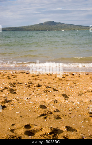 Rangitoto Island view from beach Auckland New Zealand Stock Photo