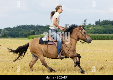 Horse and rider galloping across a field during the cross country Stock ...