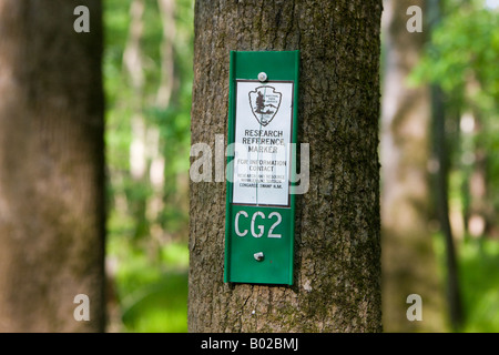 A research reference marker nailed to a tree in Congaree National Park near Columbia South Carolina on April 20 2008 Stock Photo