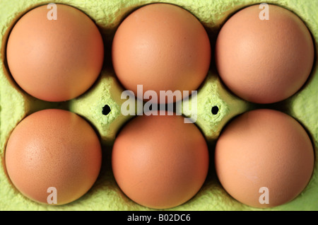 eggs box - six brown bio eggs in package Stock Photo