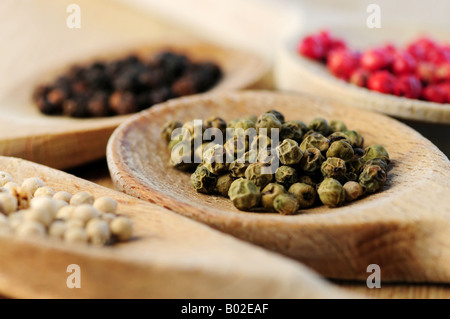 Four kinds of peppercorns in wooden cooking spoons macro Stock Photo