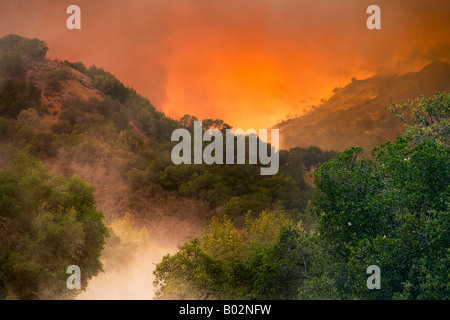 50,000 acre California wildfire at Henry Coe State Park south of San Jose fought by CAL Fire CDF Stock Photo