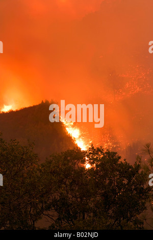 50,000 acre California wildfire at Henry Coe State Park south of San Jose fought by CAL Fire CDF Stock Photo